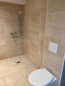 a bathroom with a toilet and a shower at Appartement proche centre historique avec parking in Sarlat-la-Canéda +5 photos