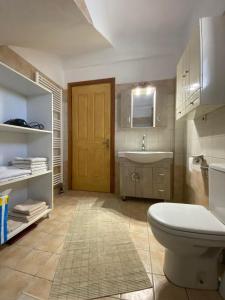 a bathroom with a toilet and a sink at VILLA THEO in Marathias