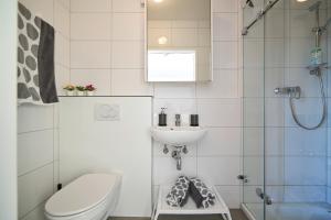 a bathroom with a toilet and a sink and a shower at Charmantes Apartment im Grünen in Bregenz