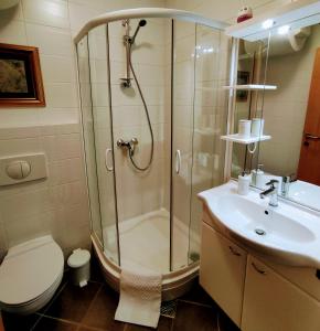 a bathroom with a shower and a toilet and a sink at Apartma MAX in Moravske-Toplice
