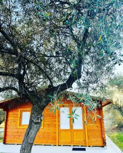 una cabaña de madera con un árbol delante en El Bosque de Ribera, en Escalona