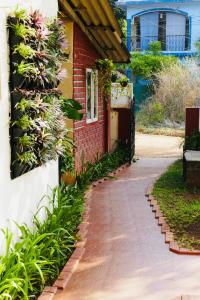 Сад в SHANU'S SEASIDE INN - A Family-Run Guesthouse just 100 metres from Candolim Beach