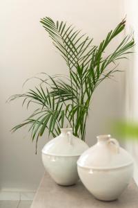 Gallery image of City Center Elite Suite in Rhodes Town +15 photos