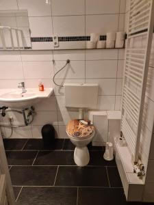 a bathroom with a toilet and a sink at GSS18 1-OG Möblierte Wohnung in Oebisfelde in Oebisfelde