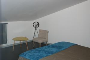 um quarto com uma cama, uma cadeira e uma ventoinha em Gîte Le Balthazar em Mercurey