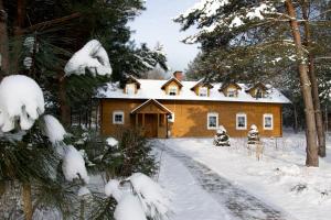 a house covered in snow in the woods at Dolina Bobrów in Siennica +33 photos