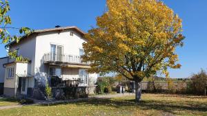 un árbol frente a una casa blanca en Ferienhaus Kerschbaum in Wiener Neustadt, en Wiener Neustadt