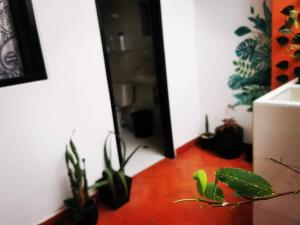 Gallery image of Hermoso apartamento en el centro histórico de San Gil I 2 in San Gil