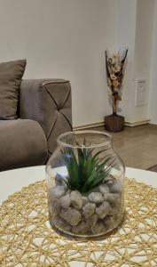 منطقة جلوس في Apartman Lola, Divcibare