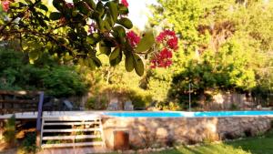 Galeriebild der Unterkunft Gardenia in San Javier