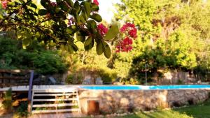 a tree with red flowers and a swimming pool at Gardenia Select in San Javier +12 photos