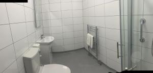 La salle de bains blanche est pourvue de toilettes et d'un lavabo. dans l'établissement Ballyglass Country House, à Tipperary
