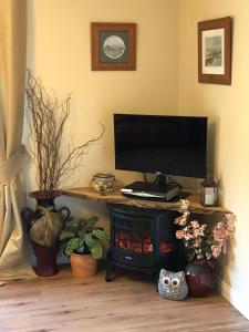 a television sitting on a stand in a room with plants at Moneydarragh Cottage with uninterrupted mountain and sea views- Hot tub available for hire in Annalong