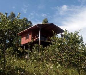 a house on top of a hill with trees at Chale duplex com vista para a Serra do Segredo in Sao Jorge