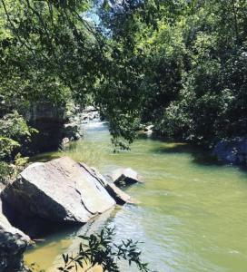 einen Fluss mit einigen Felsen, Bäumen und Wasser in der Unterkunft Chalé na Chapada, com acesso ao Rio São Miguel in Sao Jorge