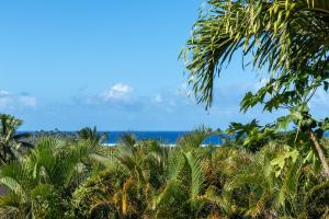 a view of the beach from a palm tree at Muri Retreat Apartments in Rarotonga