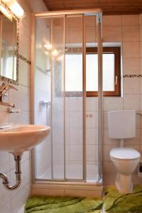 a bathroom with a shower and a toilet and a sink at Apartment, Huttau in Hüttau