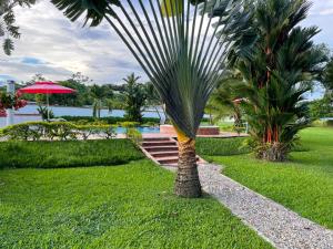 Jardín al aire libre en Finca Turística Villa Natasha - Casa Campestre y Cabañas Villavicencio