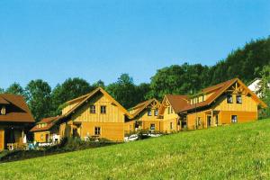 a row of wooden houses on a grassy hill at Holiday Village, Schlierbach in Schlierbach