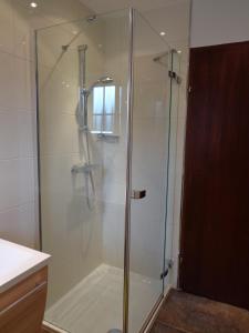 W łazience znajduje się prysznic ze szklanymi drzwiami. w obiekcie Maierlhof w mieście Aich