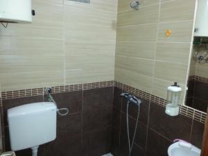 a bathroom with a toilet and a shower at Casa de Laza Apartments in Herceg-Novi +77 photos
