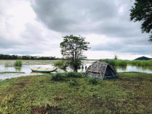 a tent sitting on the grass next to a body of water at Jungle Tree Hut Anuradhapura Sri Lanka in Anuradhapura