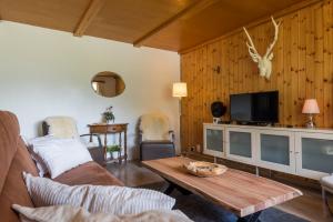 a living room with a couch and a tv at Jewel Duplex in Fieschertal