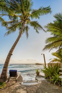 a chair and a palm tree on the beach at Blue Sky Beach Resort in Unawatuna