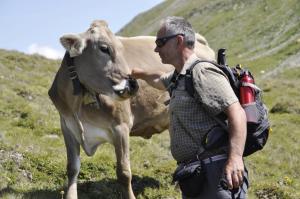 Zvieratá v apartmáne alebo blízkom okolí