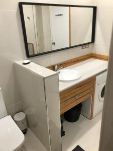 bagno con lavandino, specchio e lavatrice di Wedgetaildown a Parndana