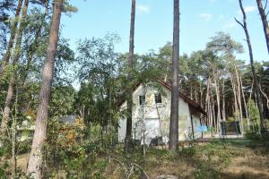 a house in the woods with trees at holiday home, Lukecin in Łukęcin