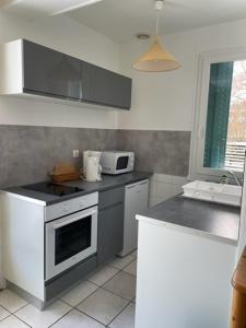 a kitchen with a stove and a microwave at Les Gîtes du Paradis in Murol