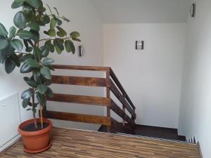 Fotografia z galérie ubytovania Guest House Buk Rastoke v destinácii Slunj