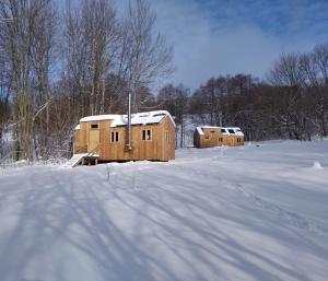 dos edificios de madera en un campo cubierto de nieve en Celoroční GLAMPING v pohodlném domečku, en Výprachtice