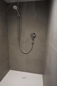 a shower with a shower head in a bathroom at Ferienwohnung Helchenberg in Bad Hindelang