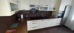 Kuchyňa alebo kuchynka v ubytovaní Apartament blisko trasy S3 + 5 fotografií