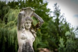 Gallery image of Un Logis en Angoumois in Rancogne +14 photos