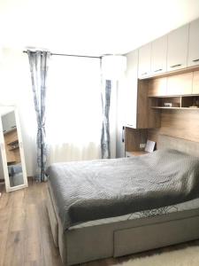 een slaapkamer met een bed en een groot raam bij Studio SILVANDA in Braşov