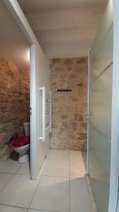ein Bad mit einem WC und einer ebenerdigen Dusche in der Unterkunft Entre Terre et Ciel in Mazan