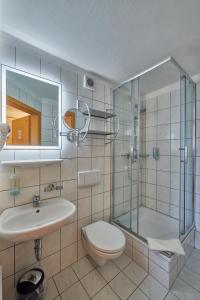 a bathroom with a toilet and a sink and a shower at Hotel Elbparadies in Pirna