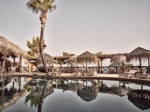 un complejo con una palmera y una piscina en Gloria Maris Hotel Suites and Villa, en Laganas