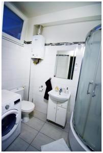 Fotografia z galérie ubytovania Color 24 Apartament IV v destinácii Stalowa Wola