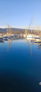 a group of boats are docked in a harbor at 65 Rue Pierre Rameil Appartement in Cavalaire-sur-Mer
