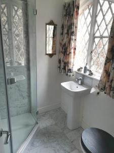 Ένα μπάνιο στο The Coach House Apartment at Cefn Tilla Court, Usk
