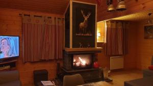 a living room with a fireplace and a tv at Chalet Les Vosgiennes in Le Valtin