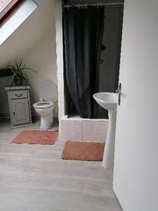 y baño con aseo y cortina de ducha negra. en LOLA, en Montigny-sur-Crécy