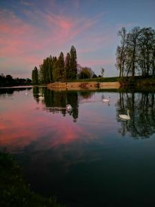 Fotografia z galérie ubytovania APARTMANI AUTOKLUBA KARLOVAC v destinácii Karlovac