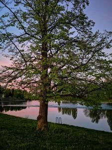 Fotografia z galérie ubytovania APARTMANI AUTOKLUBA KARLOVAC v destinácii Karlovac
