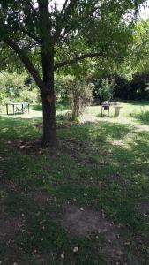 Ảnh trong thư viện ảnh của Campbell Stays ở Kestell +58 ảnh