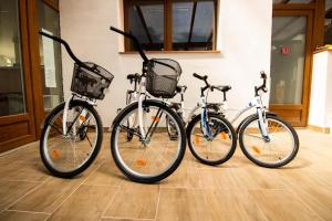 Jazda na bicykli v okolí ubytovania Xendala Panzió